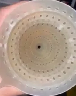 Super Filtering Funnel