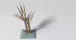 Surreal Bush