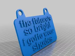 the future 