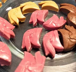 Videoleap Logo for Praline Mold