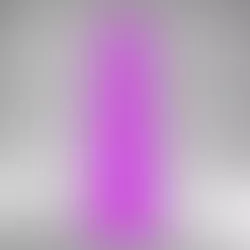 Anal/Vaginal Dildo - The Bubbly Rings