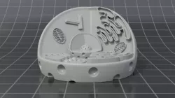 Animal cell