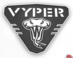 Anycubic VYPER custom logo