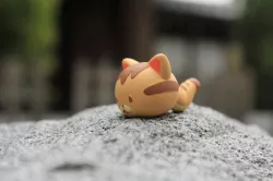 Catworm