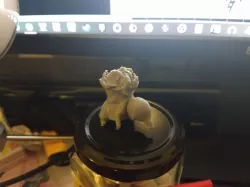 Cyndaquil