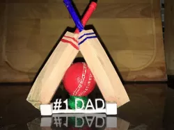 dad cricket