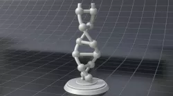 DNA model