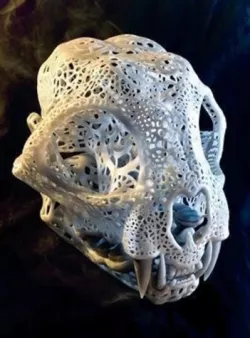 Filigree Anatomical Bobcat Skull