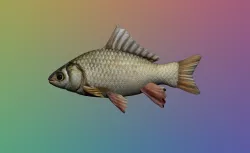 Fish - 3D Model