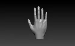 Hand - 3D model