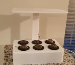 Hydroponic Compact Garden - Complete Kit 