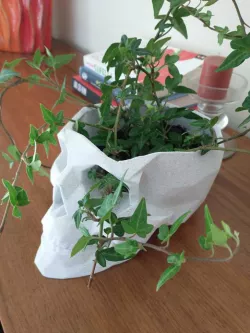Lowpoly Skull Flowerpot Remix
