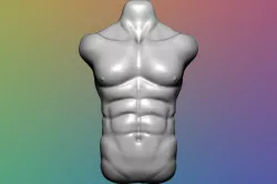 Male Torso - 3D Model