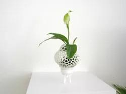 Mini Plant Space Rocket with Pot