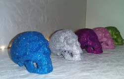 Modern skull