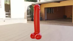 Penis