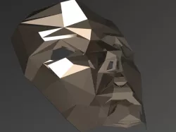 poly face mask