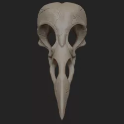 Raven Skull 3D Printing 3D print model