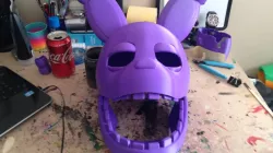 Spring Bonnie full suit