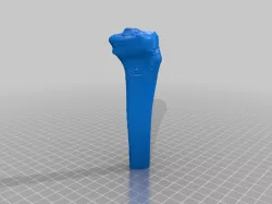 Tibia [ Human Tibia Bone in two parts ]