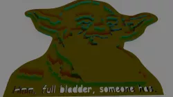Toilet Yoda