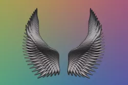 Wings - 3D Model