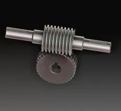 Worm gears
