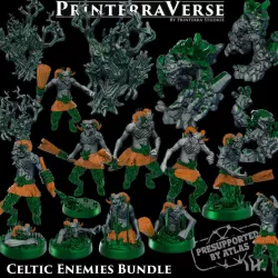 $17.50002 Celtic Enemies