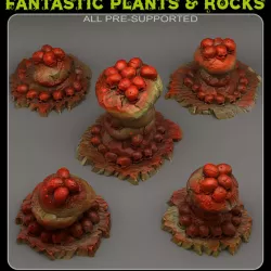 $2.50ANCIENT CANNIBAL STONES