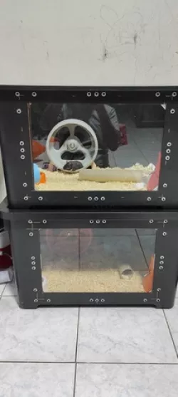 200 mm. Hamster wheel