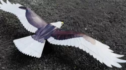 3D printable RC Eagle