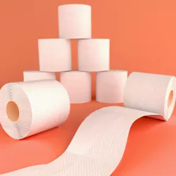 3D Printed Toilet Roll
