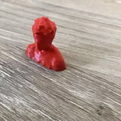 3D scanned Face