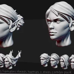 $5.00Alternatives 28mm females heads pack ( human + elves )