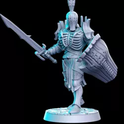 $5.00Amladril with sword and shield (elven deathknight)- 32mm - DnD