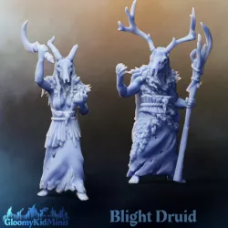 $5.00Blight Druid (Presupported Reworked)