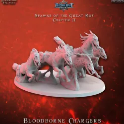 $5.00Bloodborne Chargers