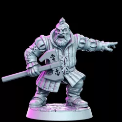 $5.00Bori van Gilden - Dwarf witcher- 32mm - DnD