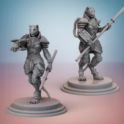 $6.99Brakkan Empire. War Maidens.