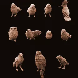 $8.99Animal Set 2 - Birds