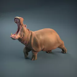 $9.00Angry Hippo
