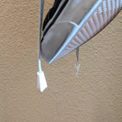 Aglet Arrow