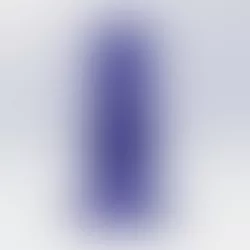 ANAL PLUG - BLUEY