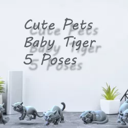 Baby Tiger cute pets
