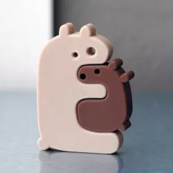Bear and cub