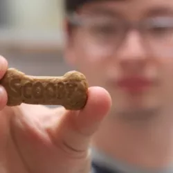 Biscoitos Scooby // Scooby Snacks