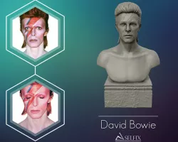 David Bowie 3D Sculpture