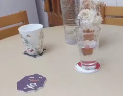 Dessous de verre Pokemon / Coaster Pokemon