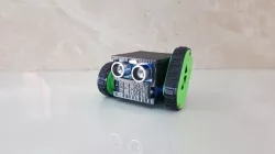 Following robot and avoiding robot