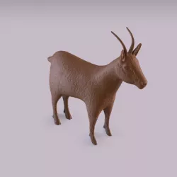 Goat